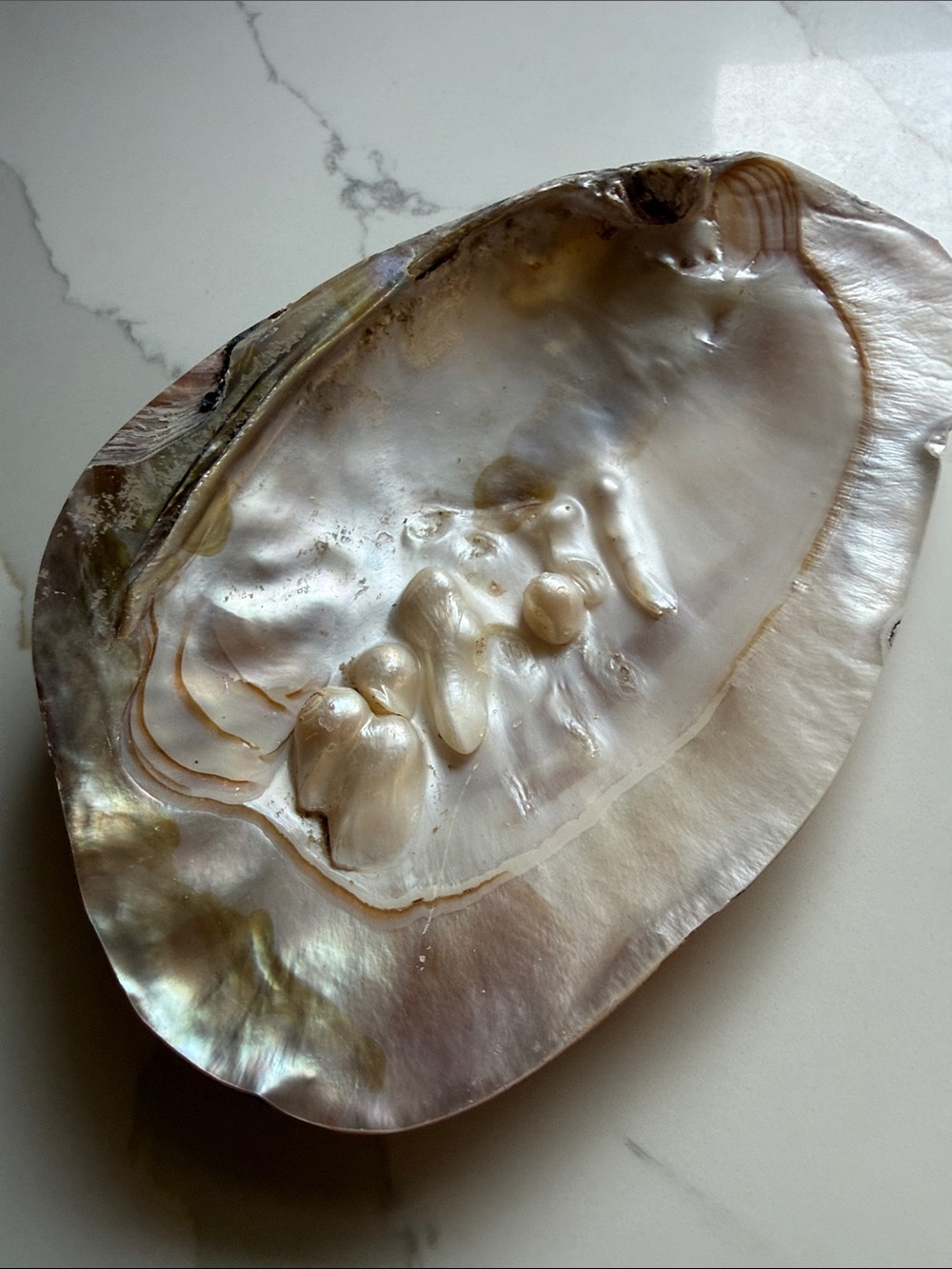 Natural Iridescent Mother-of-Pearl Shell Bowl